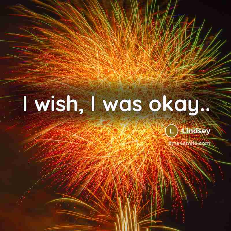 “I wish, I was okay..…” quote by Lindsey