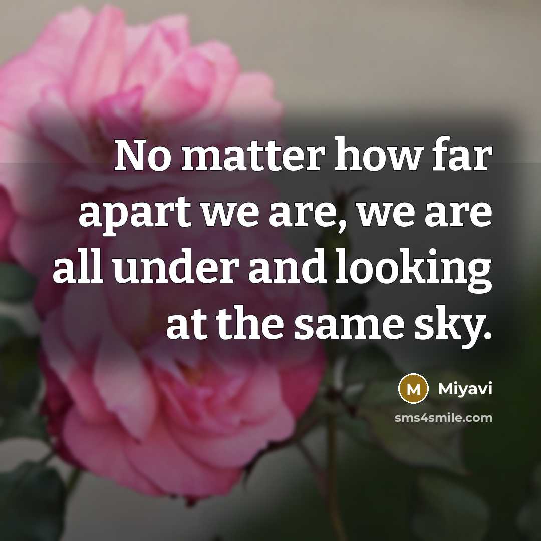 “No matter how far apart we are, we are all under and looking at the same sky.” quote by Miyavi