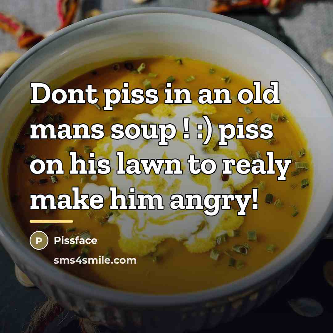 “Dont piss in an old mans soup ! :) piss…” quote by Pissface