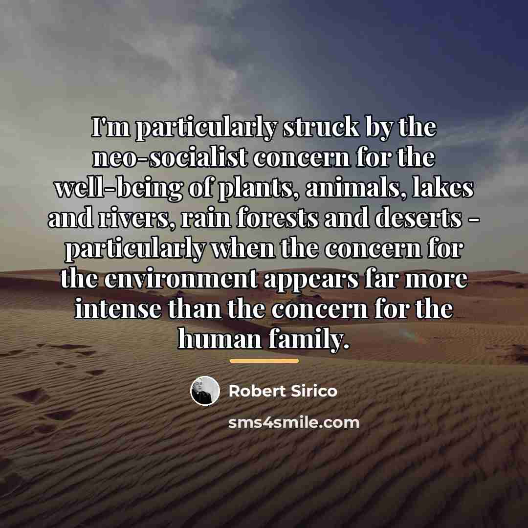 “I'm particularly struck by the neo-socialist concern for the well-being…” quote by Robert Sirico