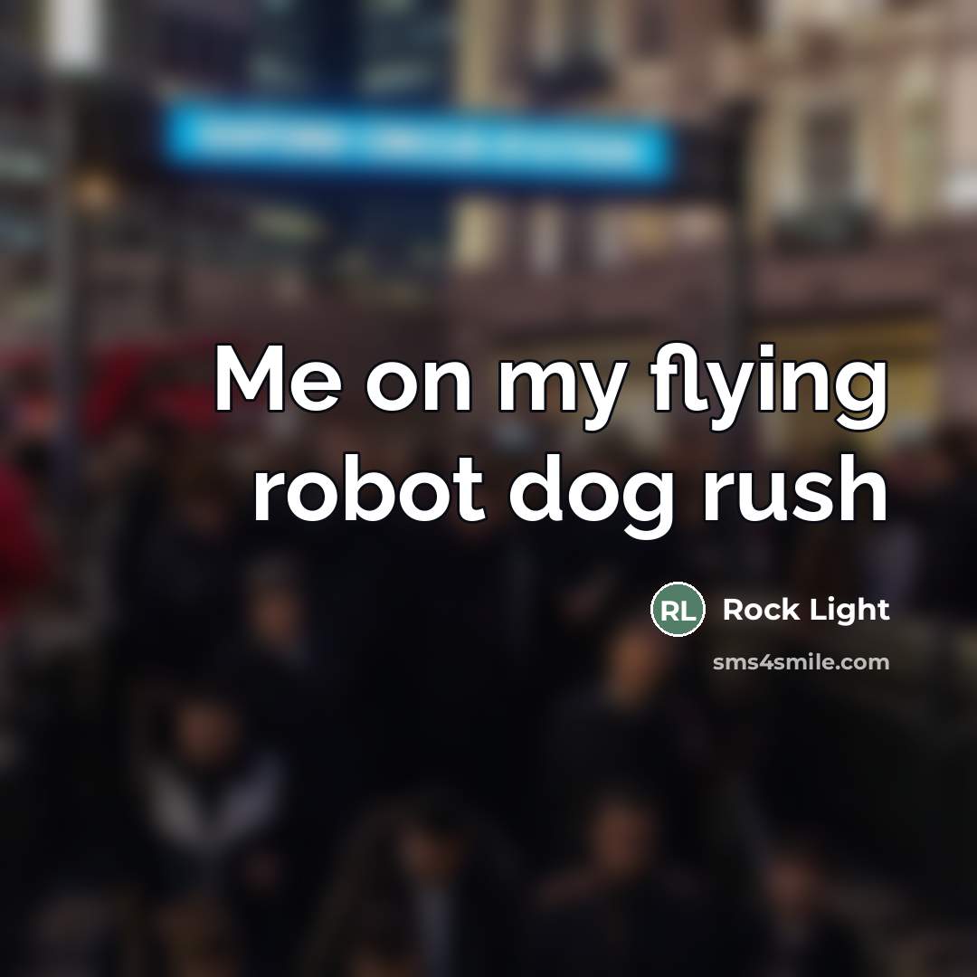 “Me on my flying robot dog rush…” quote by Rock Light