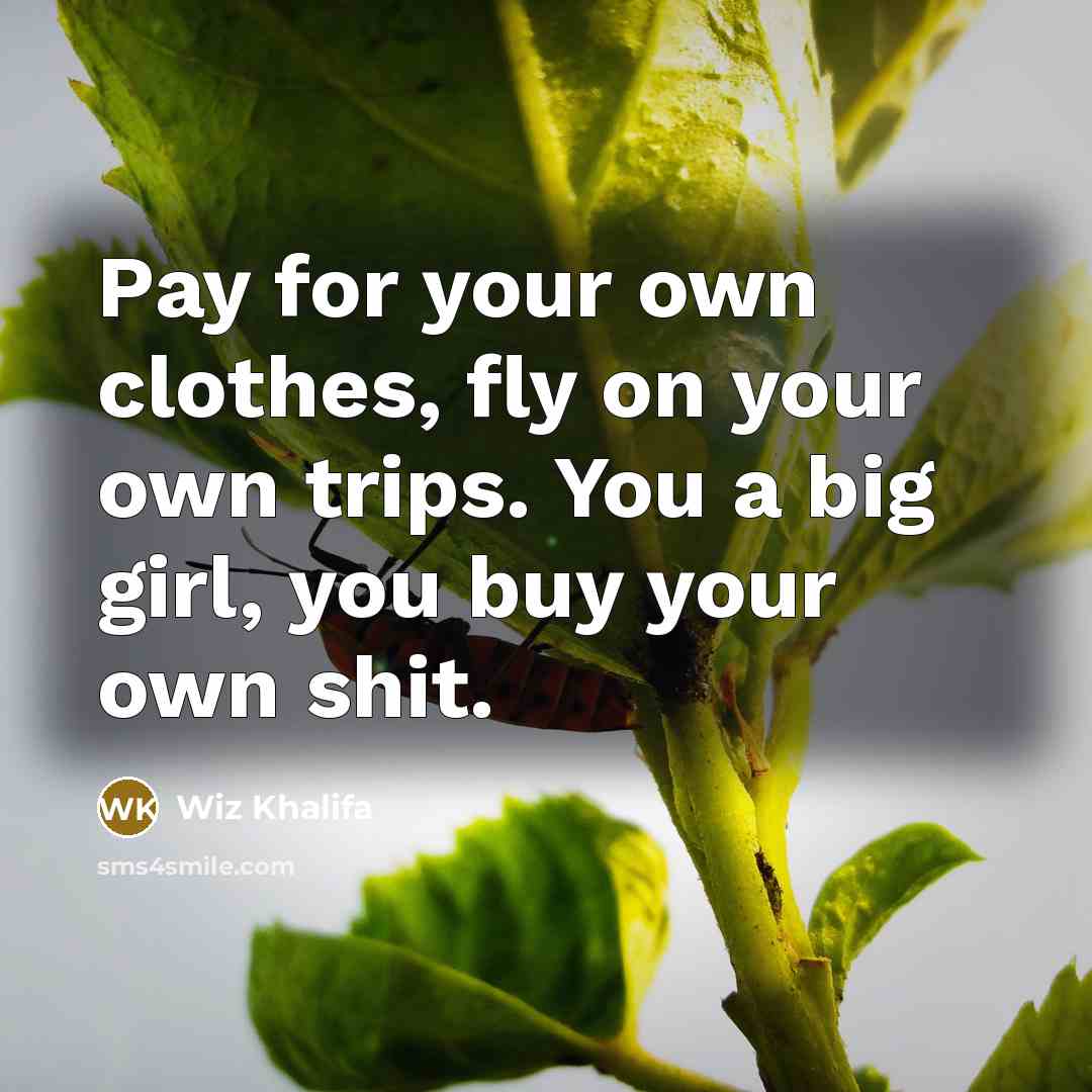 “Pay for your own clothes, fly on your own trips.…” quote by Wiz Khalifa