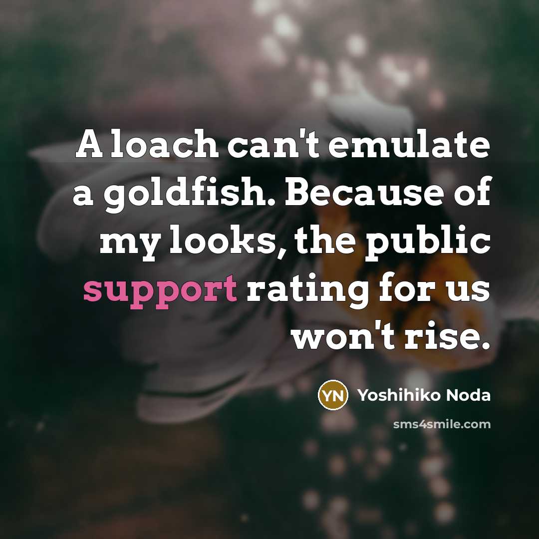 “A loach can't emulate a goldfish. Because of my looks,…” quote by Yoshihiko Noda