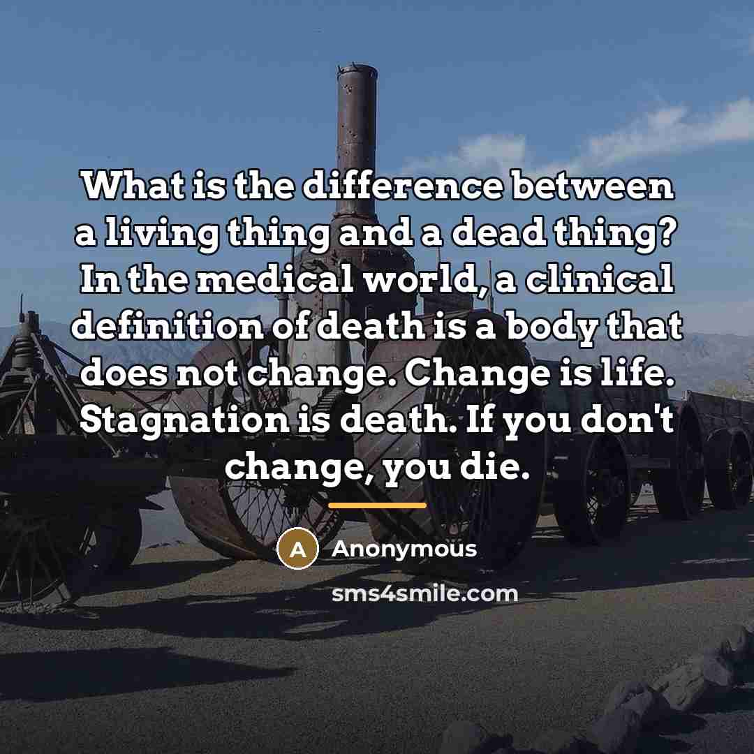 “What is the difference between a living thing and a…” quote by Anonymous