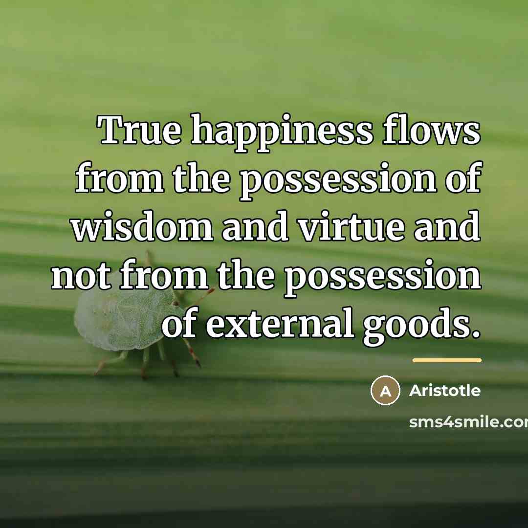“True happiness flows from the possession of wisdom and virtue…” quote by Aristotle