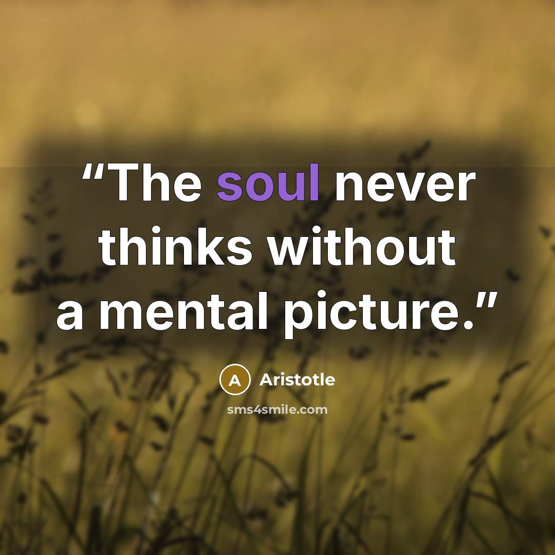 “The soul never thinks without a mental picture.” quote by Aristotle