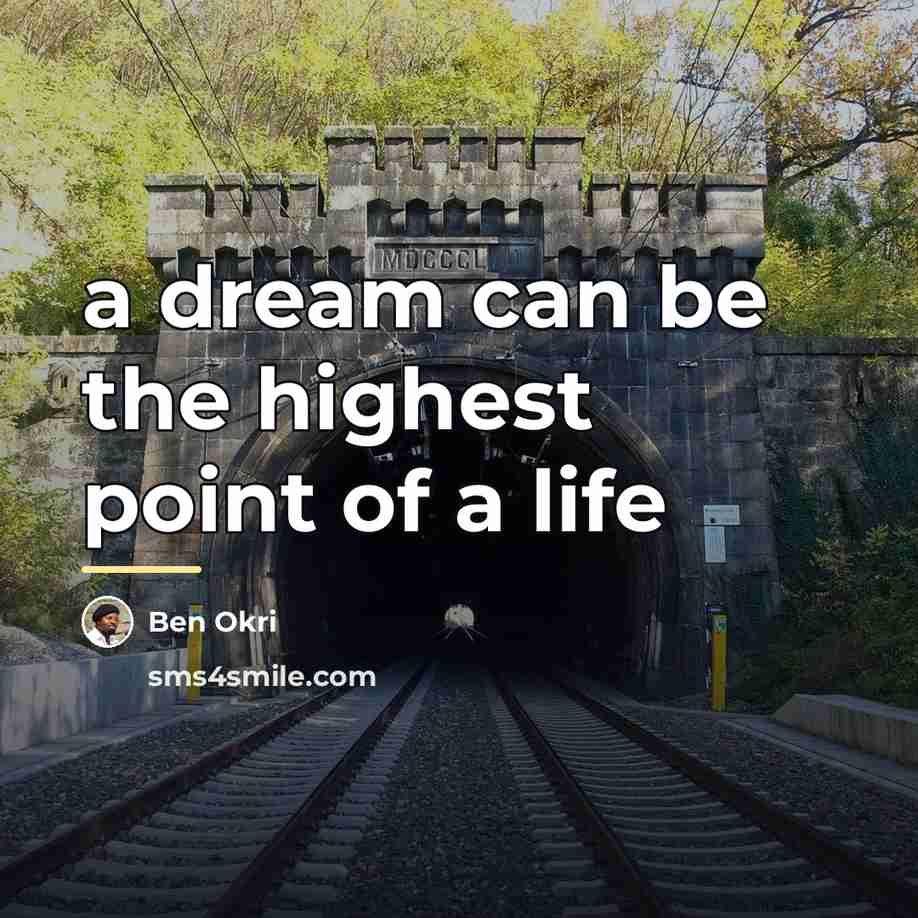 “a dream can be the highest point of a life…” quote by Ben Okri