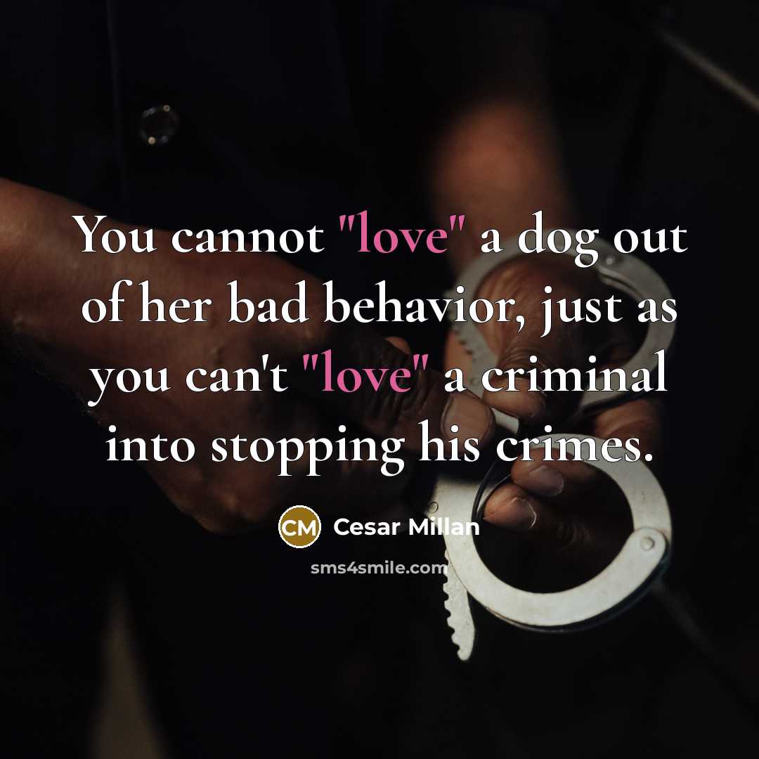 “You cannot "love" a dog out of her bad behavior,…” quote by Cesar Millan