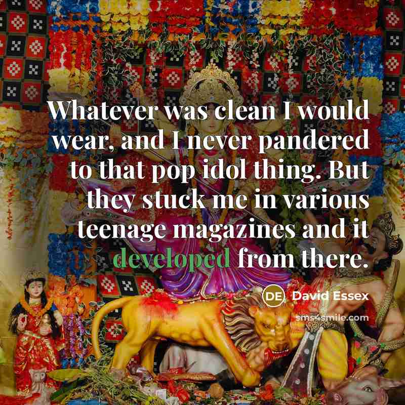 “Whatever was clean I would wear, and I never pandered…” quote by David Essex
