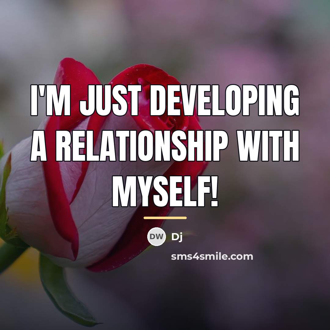 “I'm just developing a relationship with myself!…” quote by DJ