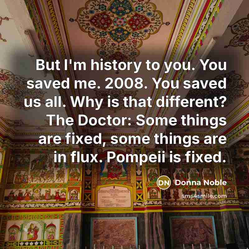 “But I'm history to you. You saved me. 2008. You…” quote by Donna Noble