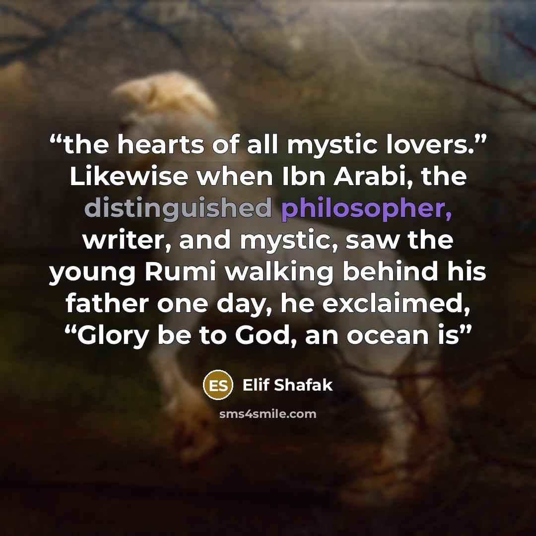 “the hearts of all mystic lovers.” Likewise when Ibn Arabi, the distinguished philosopher, writer, and mystic, saw the young Rumi walking behind his father one day, he exclaimed, “Glory be to God, an ocean is” quote by Elif Shafak