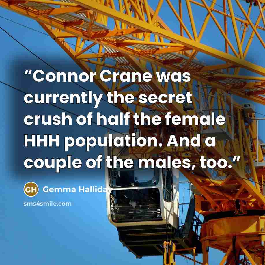“Connor Crane was currently the secret crush of half the female HHH population. And a couple of the males, too.” quote by Gemma Halliday