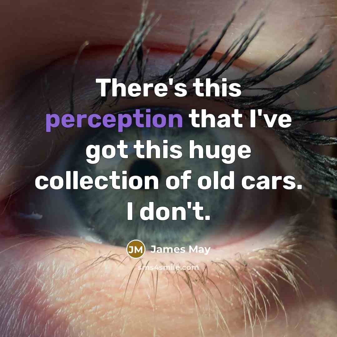 “There's this perception that I've got this huge collection of old cars. I don't.” quote by James May