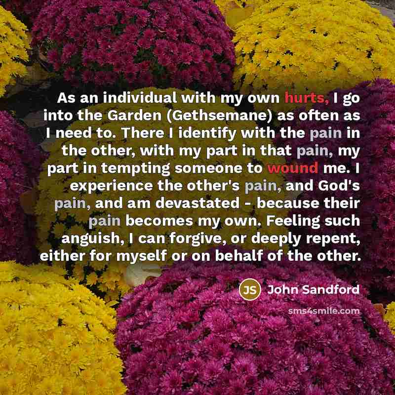 “As an individual with my own hurts, I go into…” quote by John Sandford