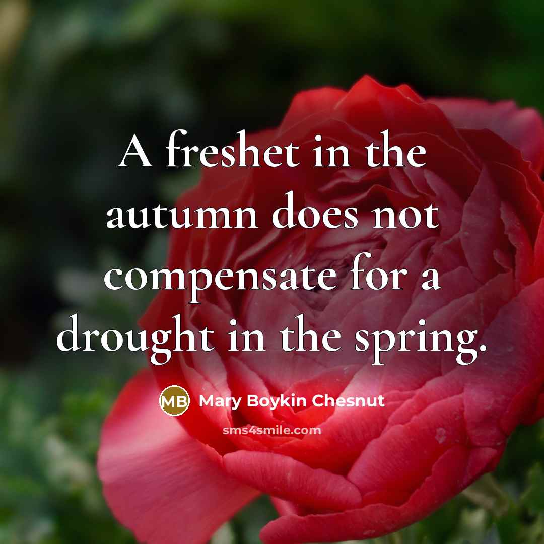“A freshet in the autumn does not compensate for a…” quote by Mary Boykin Chesnut