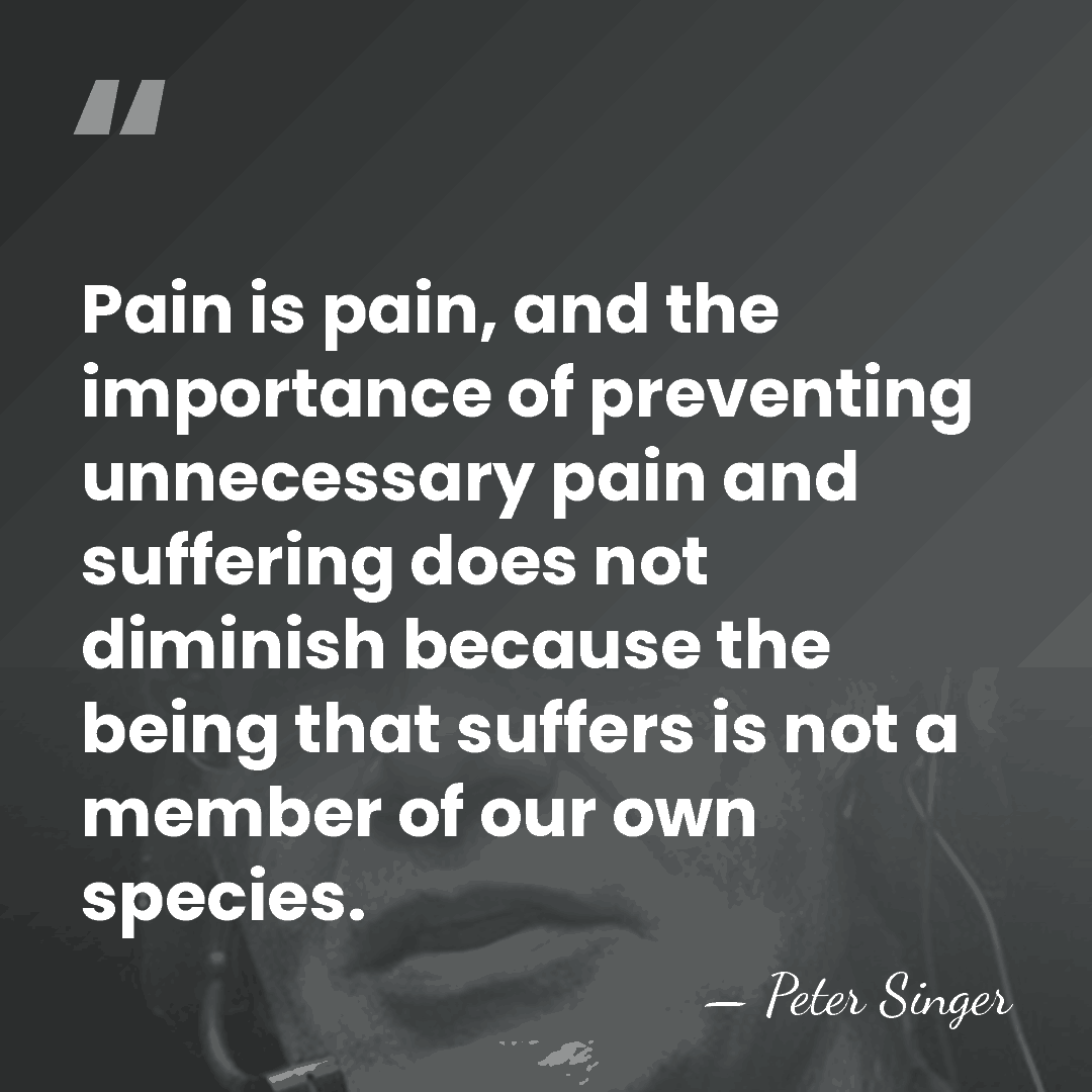 Pain is pain, and the importance of preventing unnecessary pain and suffering&hellip; - Peter Singer