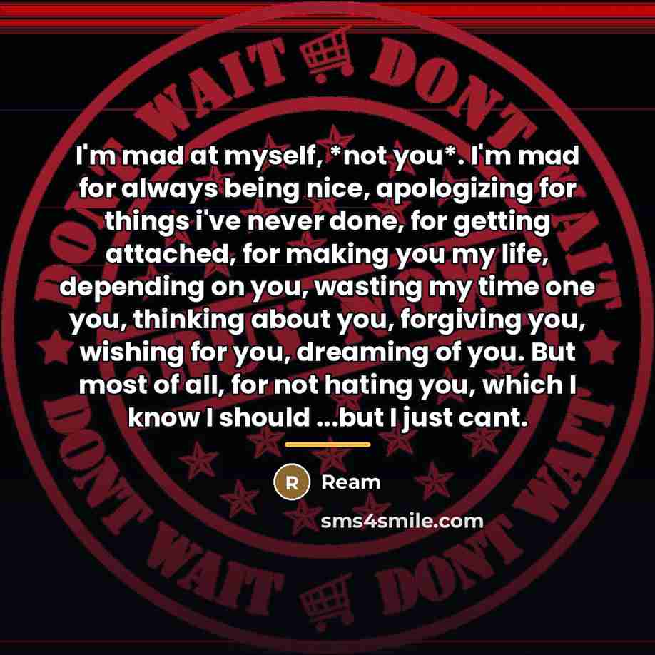 “I'm mad at myself, *not you*. I'm mad for always…” quote by Ream