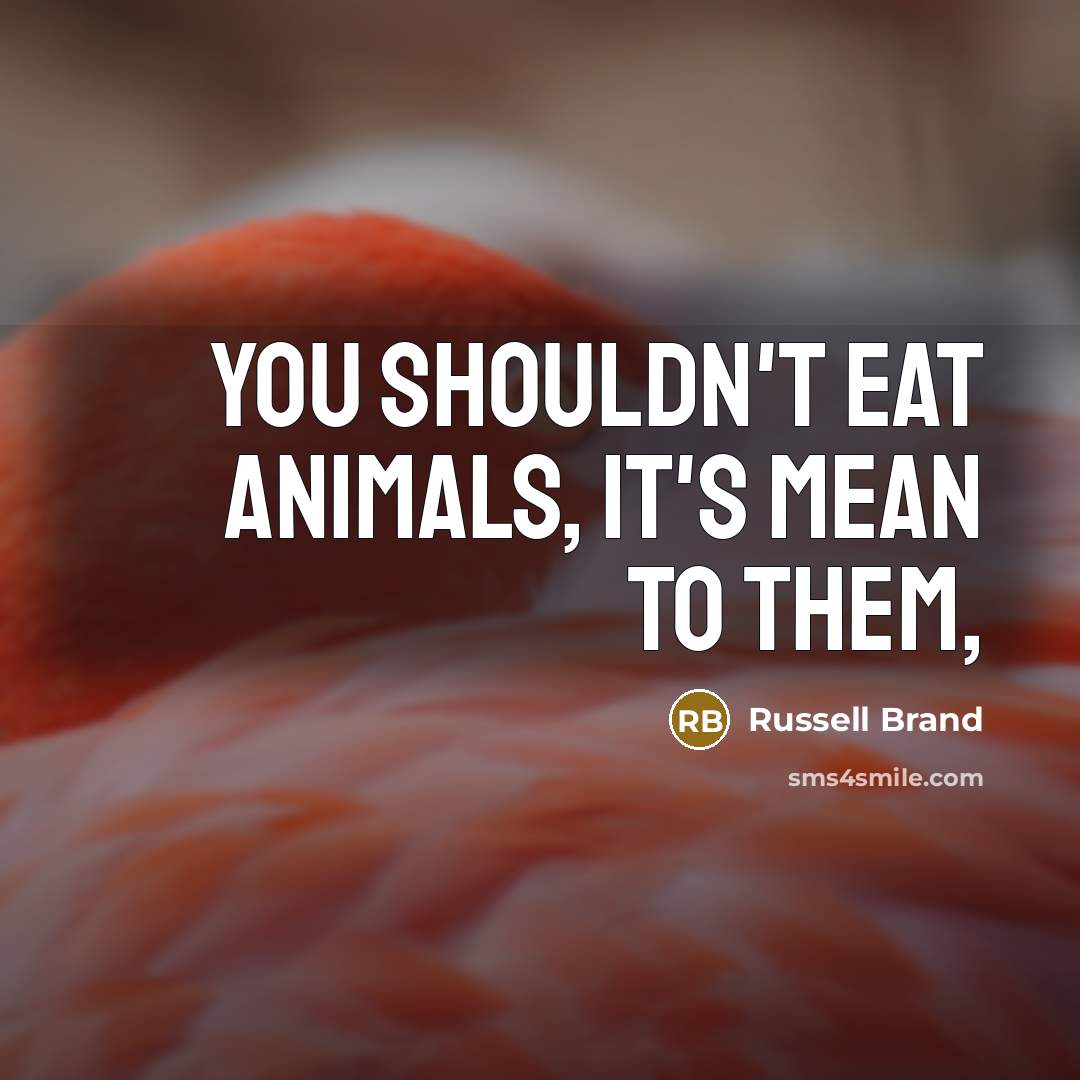“You shouldn't eat animals, it's mean to them,…” quote by Russell Brand