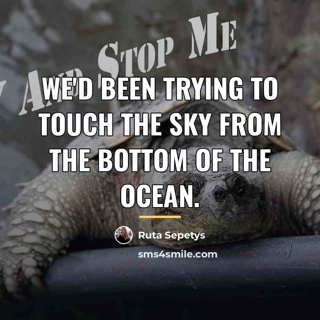 “We'd been trying to touch the sky from the bottom…” quote by Ruta Sepetys