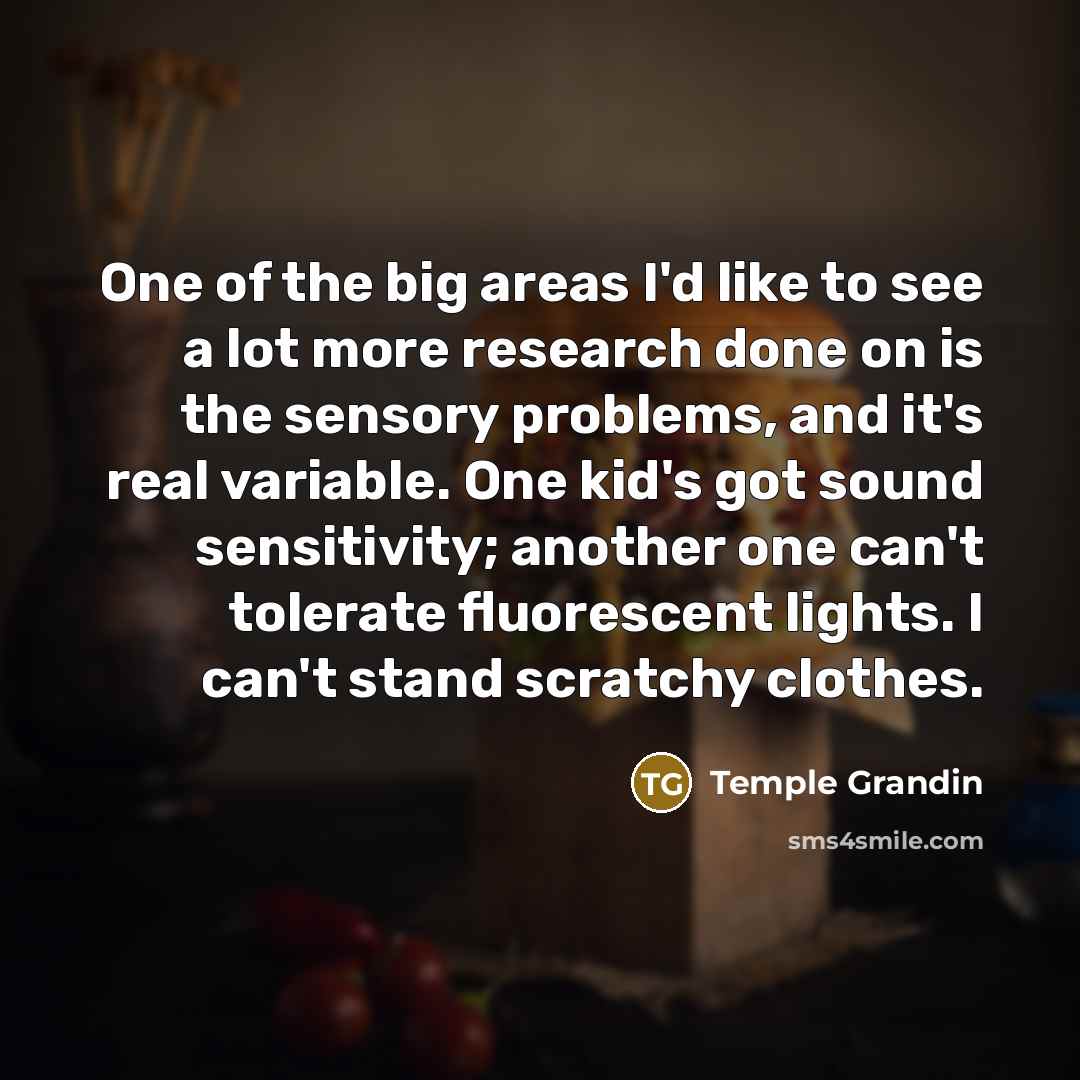 “One of the big areas I'd like to see a…” quote by Temple Grandin