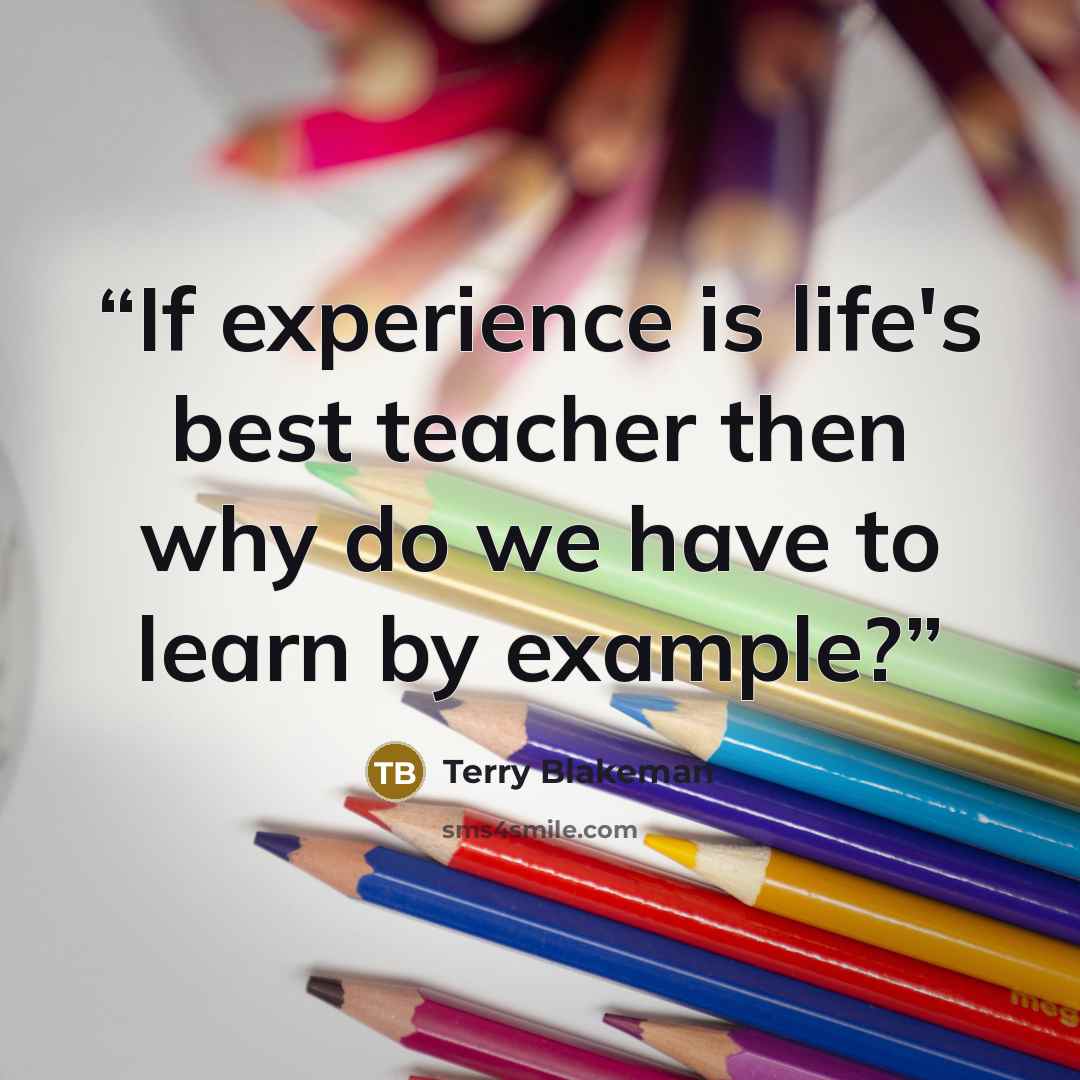 “If experience is life's best teacher then why do we have to learn by example?” quote by Terry Blakeman