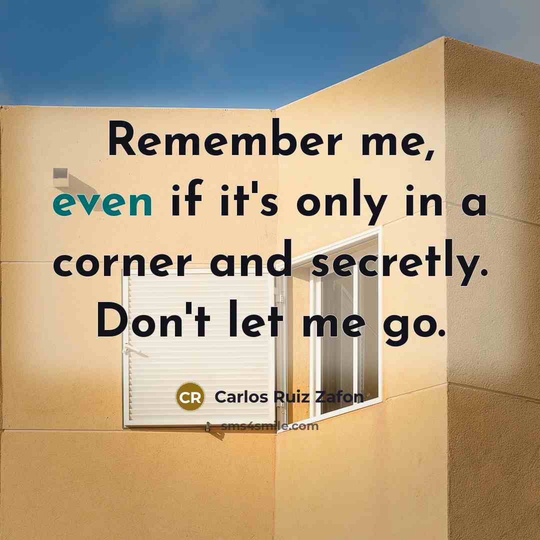 “Remember me, even if it's only in a corner and secretly. Don't let me go.” quote by Carlos Ruiz Zafon