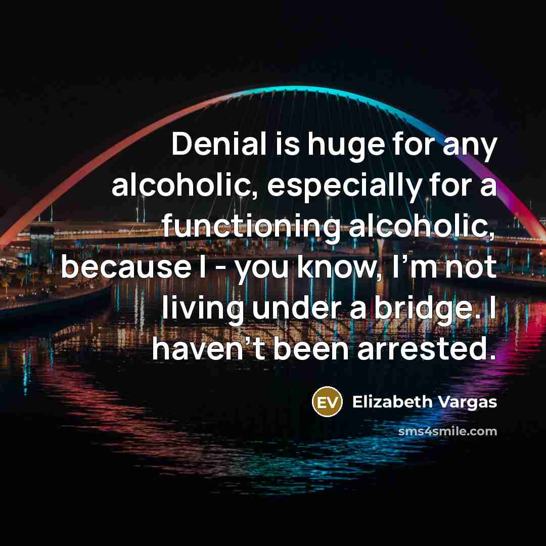 “Denial is huge for any alcoholic, especially for a functioning alcoholic, because I - you know, I'm not living under a bridge. I haven't been arrested.” quote by Elizabeth Vargas