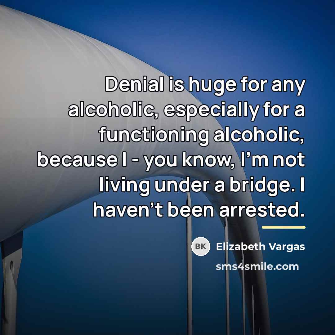 “Denial is huge for any alcoholic, especially for a functioning…” quote by Elizabeth Vargas