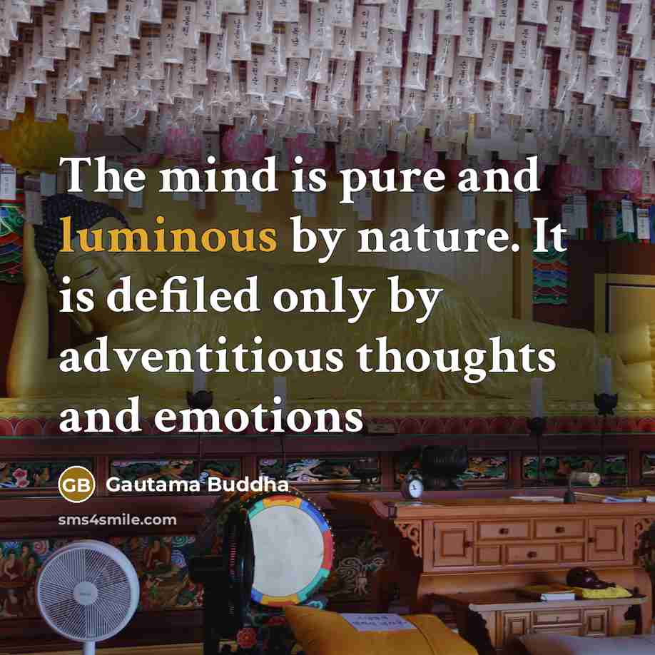 “The mind is pure and luminous by nature. It is…” quote by Gautama Buddha