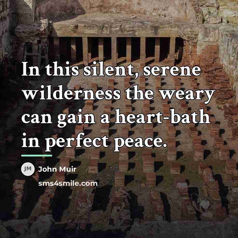 “In this silent, serene wilderness the weary can gain a…” quote by John Muir