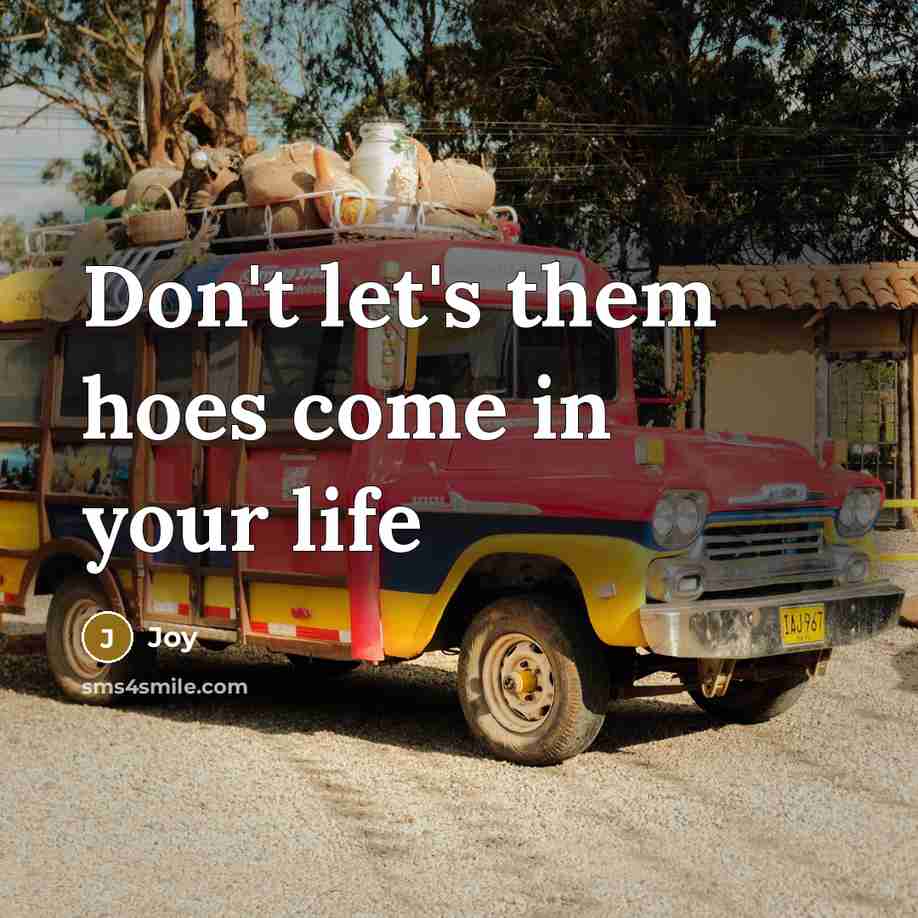 “Don't let's them hoes come in your life” quote by Joy