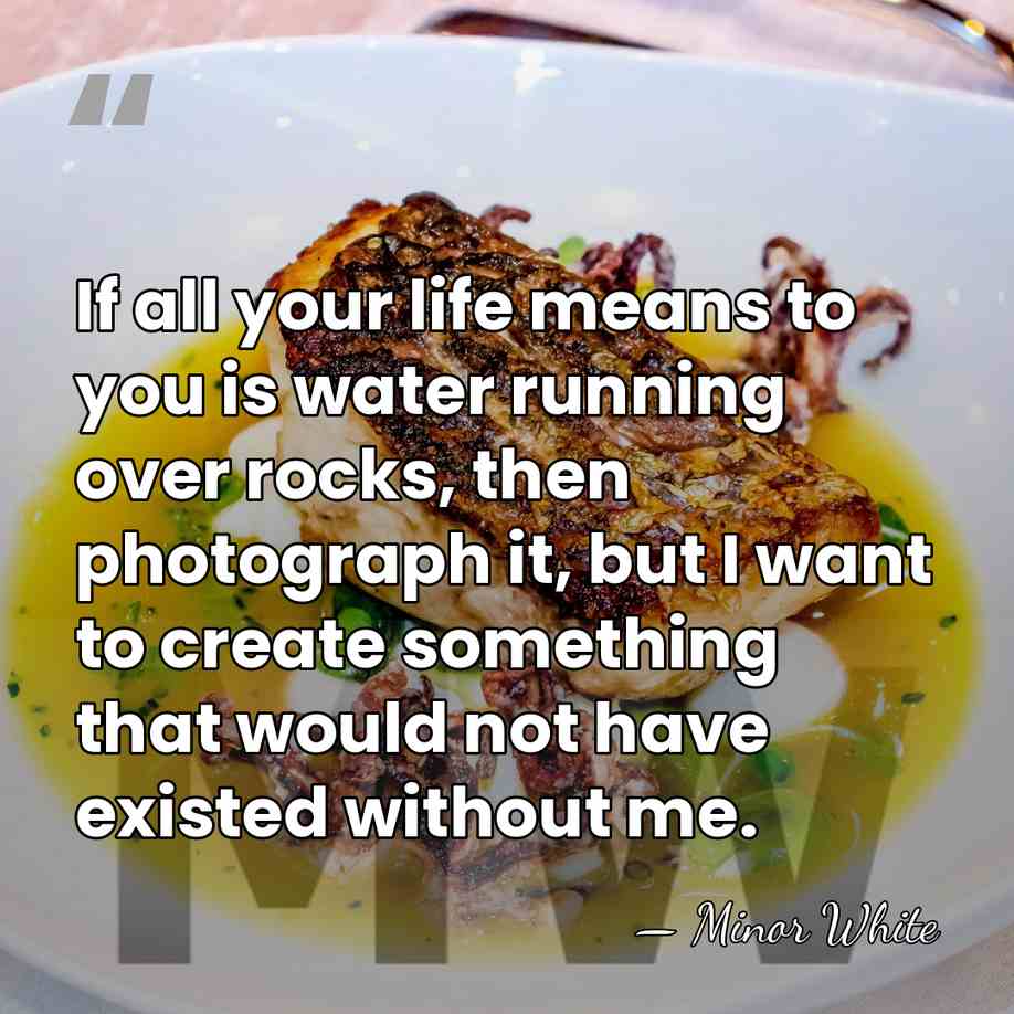 If all your life means to you is water running over rocks,&hellip; - Minor White