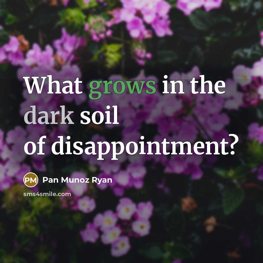 “What grows in the dark soil of disappointment?…” quote by Pan Munoz Ryan