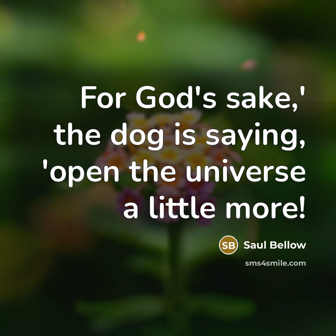 “For God's sake,' the dog is saying, 'open the universe…” quote by Saul Bellow