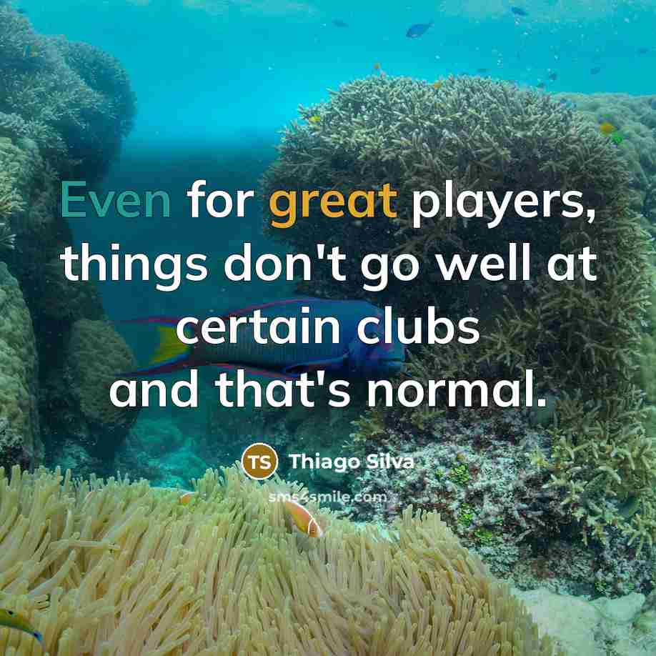 “Even for great players, things don't go well at certain clubs and that's normal.” quote by Thiago Silva