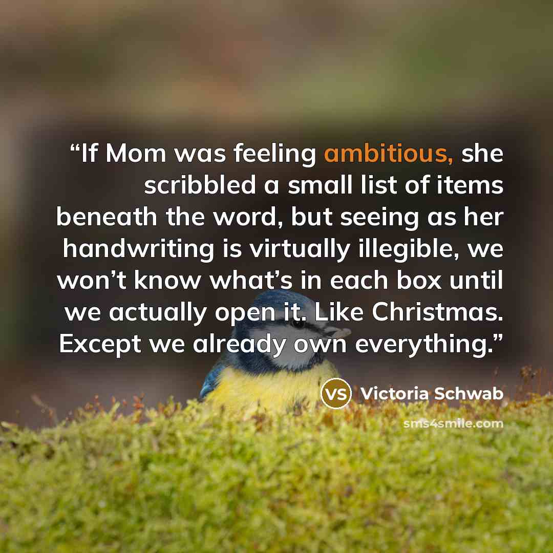 “If Mom was feeling ambitious, she scribbled a small list of items beneath the word, but seeing as her handwriting is virtually illegible, we won’t know what’s in each box until we actually open it. Like Christmas. Except we already own everything.” quote by Victoria Schwab