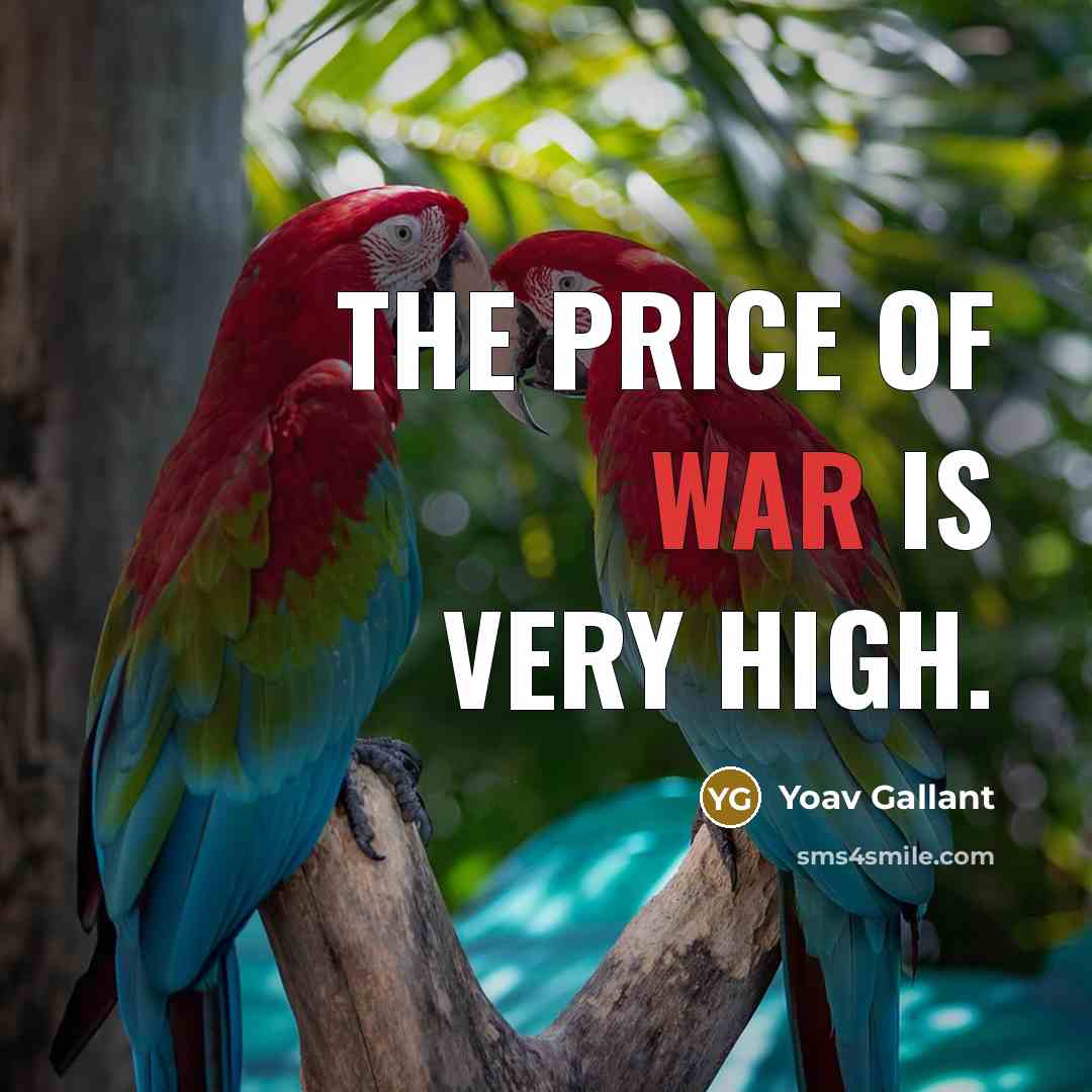 “The price of war is very high.…” quote by Yoav Gallant