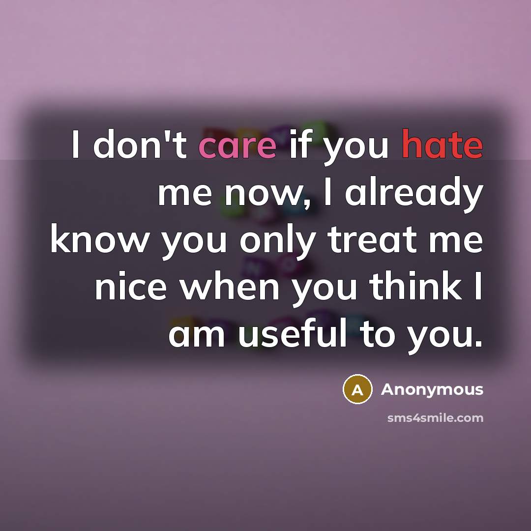 “I don't care if you hate me now, I already…” quote by Anonymous