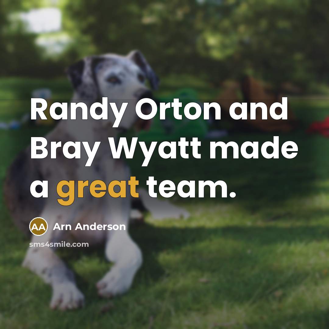 “Randy Orton and Bray Wyatt made a great team.…” quote by Arn Anderson