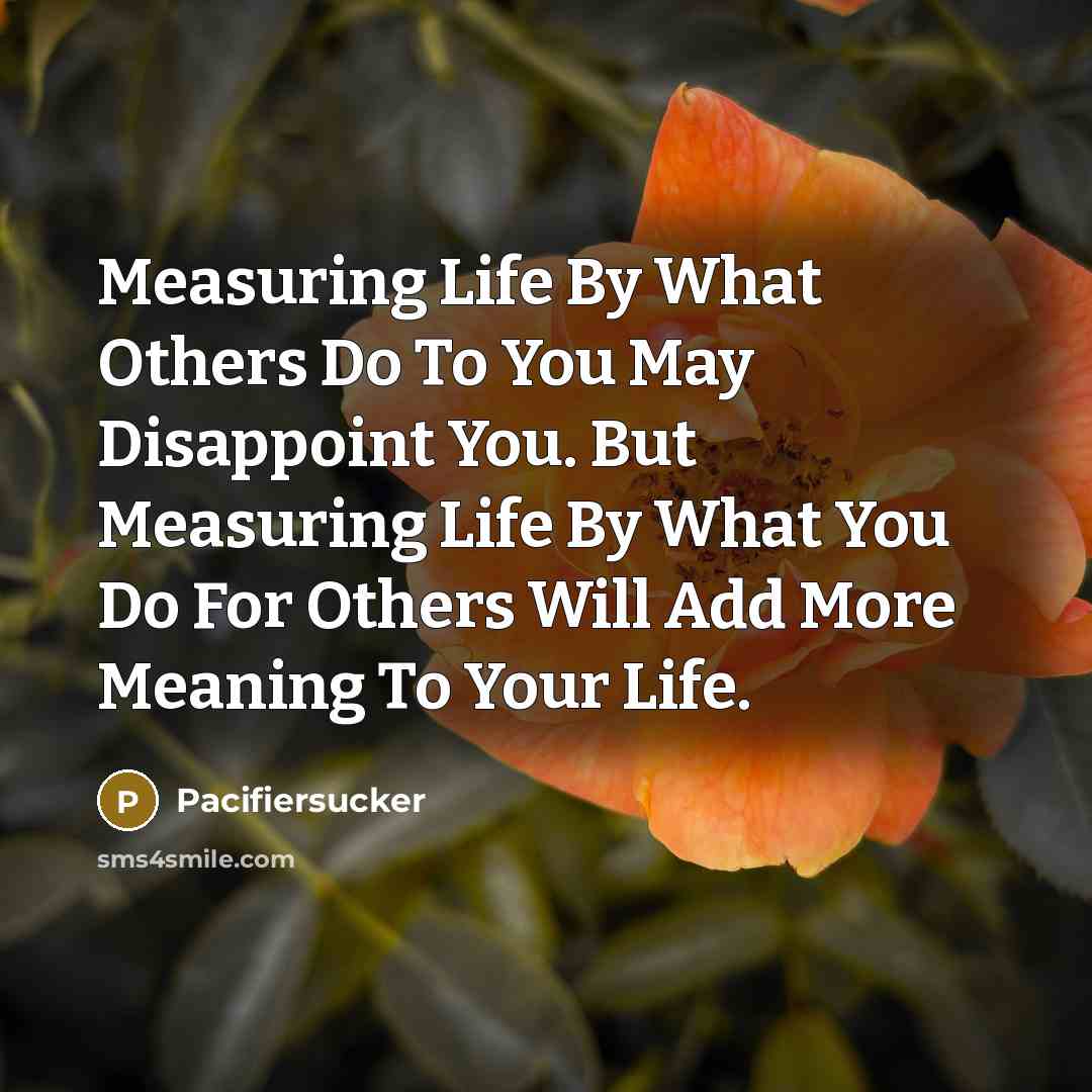 “Measuring Life By What Others Do To You May Disappoint…” quote by Pacifiersucker