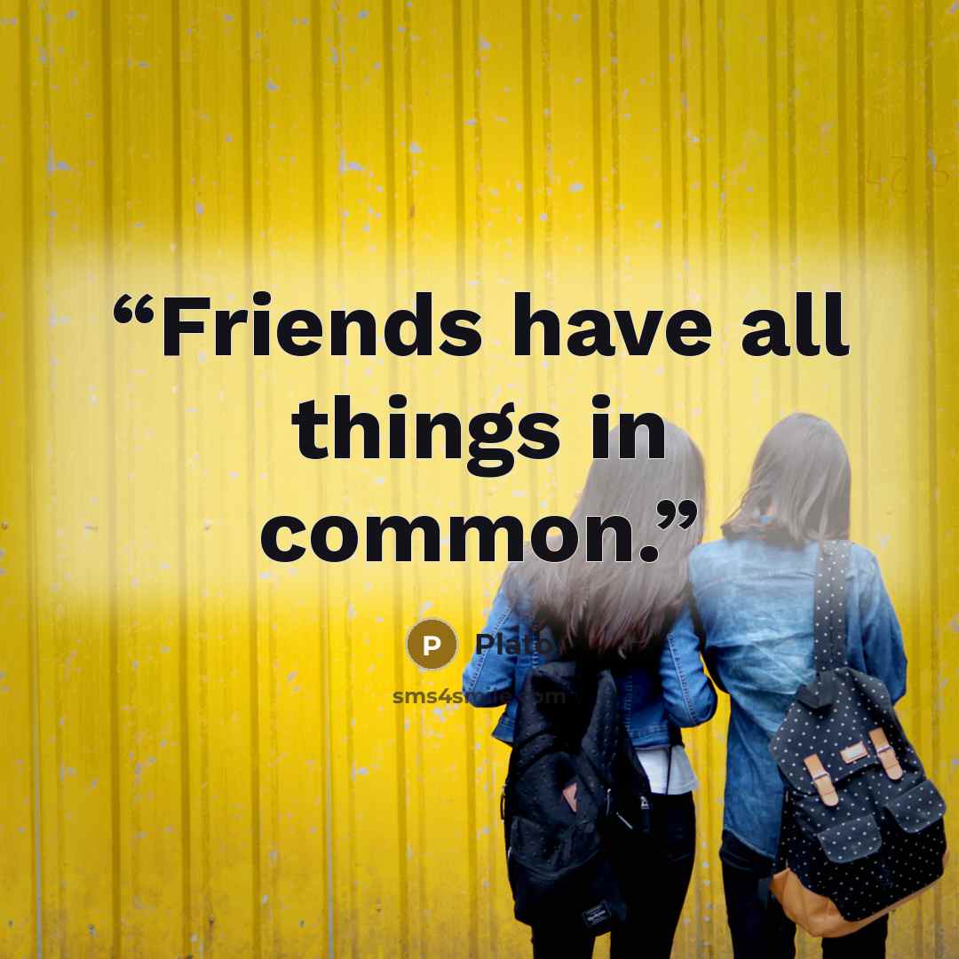 “Friends have all things in common.” quote by Plato