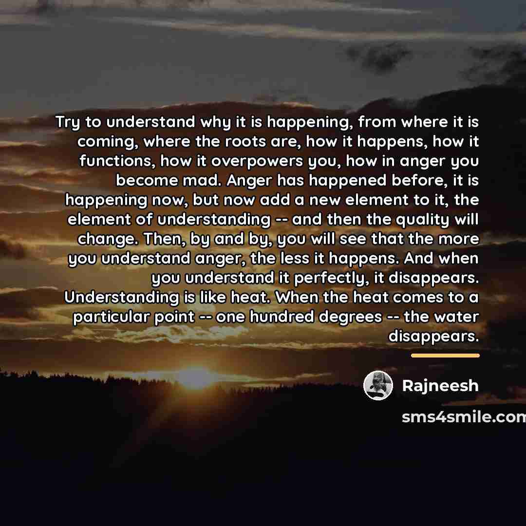 “Try to understand why it is happening, from where it…” quote by Rajneesh