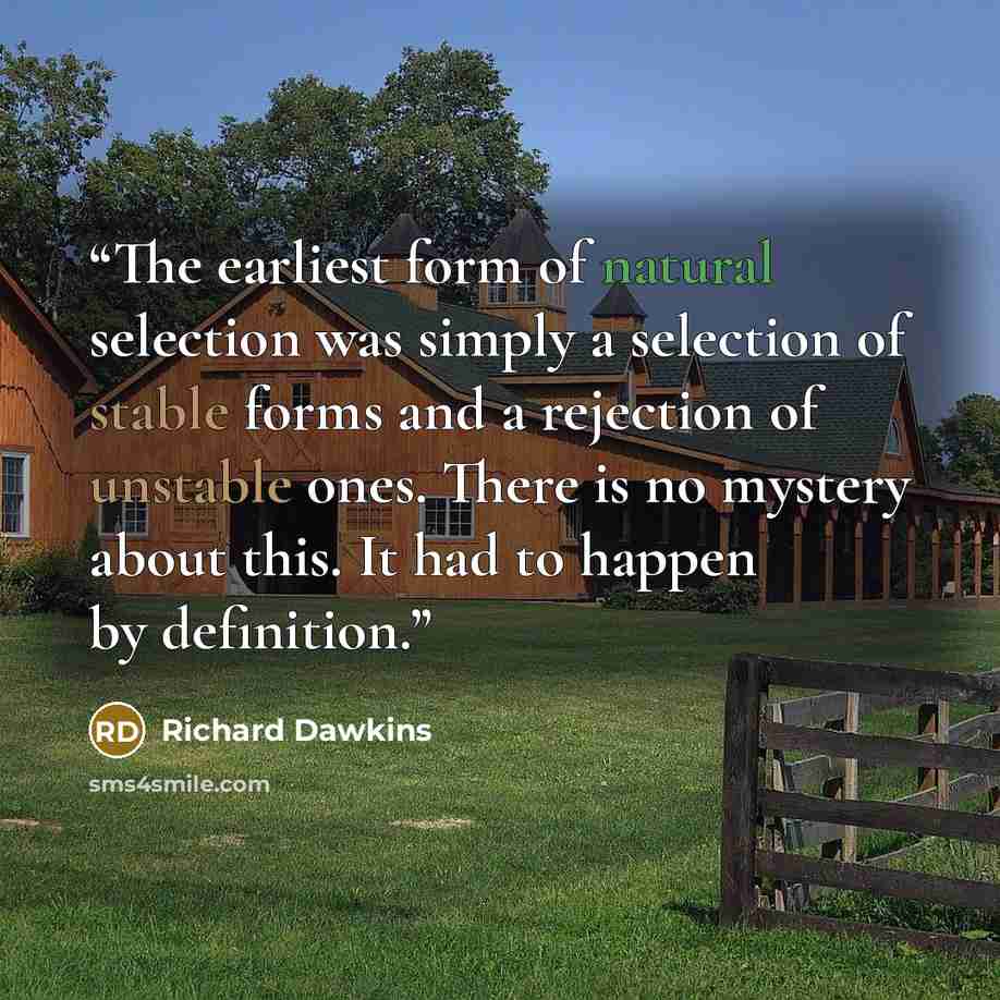 “The earliest form of natural selection was simply a selection of stable forms and a rejection of unstable ones. There is no mystery about this. It had to happen by definition.” quote by Richard Dawkins