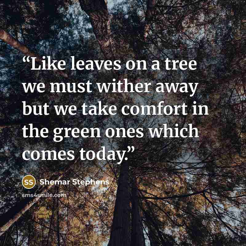 “Like leaves on a tree we must wither away but we take comfort in the green ones which comes today.” quote by Shemar Stephens