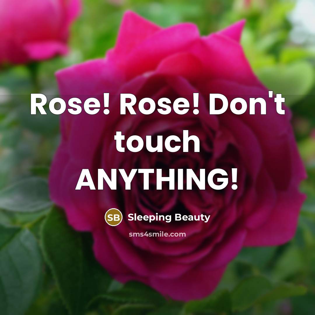 “Rose! Rose! Don't touch ANYTHING!…” quote by Sleeping Beauty