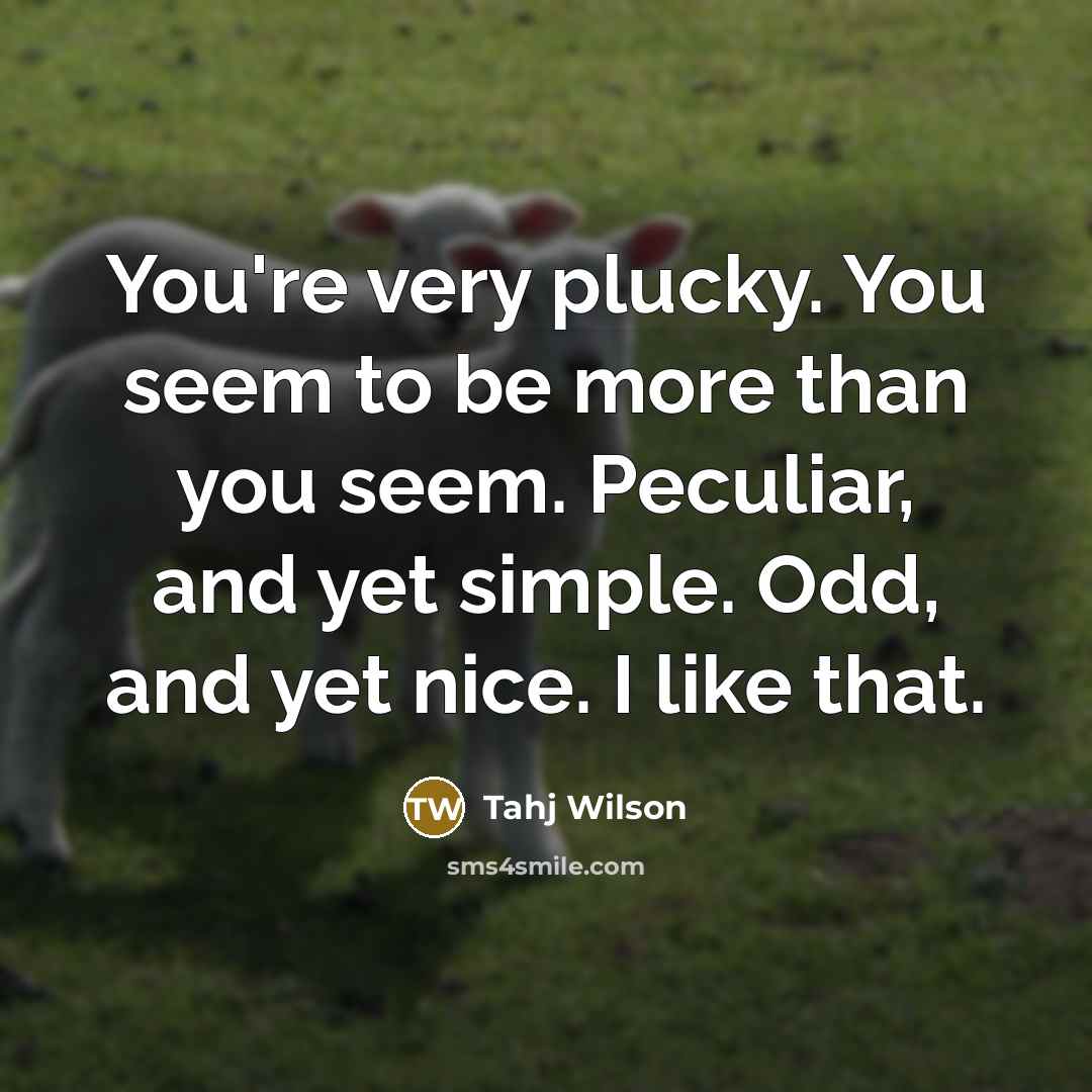 “You're very plucky. You seem to be more than you…” quote by Tahj Wilson