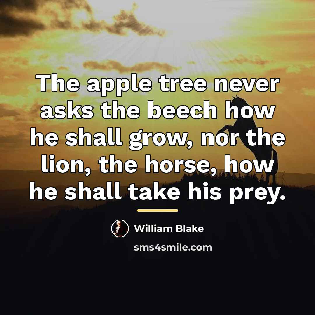“The apple tree never asks the beech how he shall…” quote by William Blake