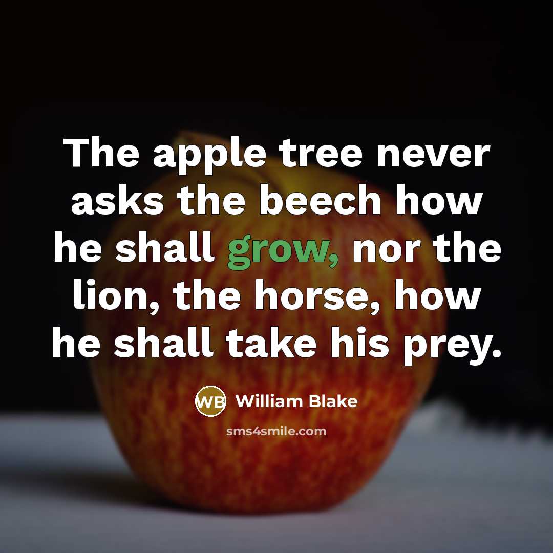 “The apple tree never asks the beech how he shall grow, nor the lion, the horse, how he shall take his prey.” quote by William Blake