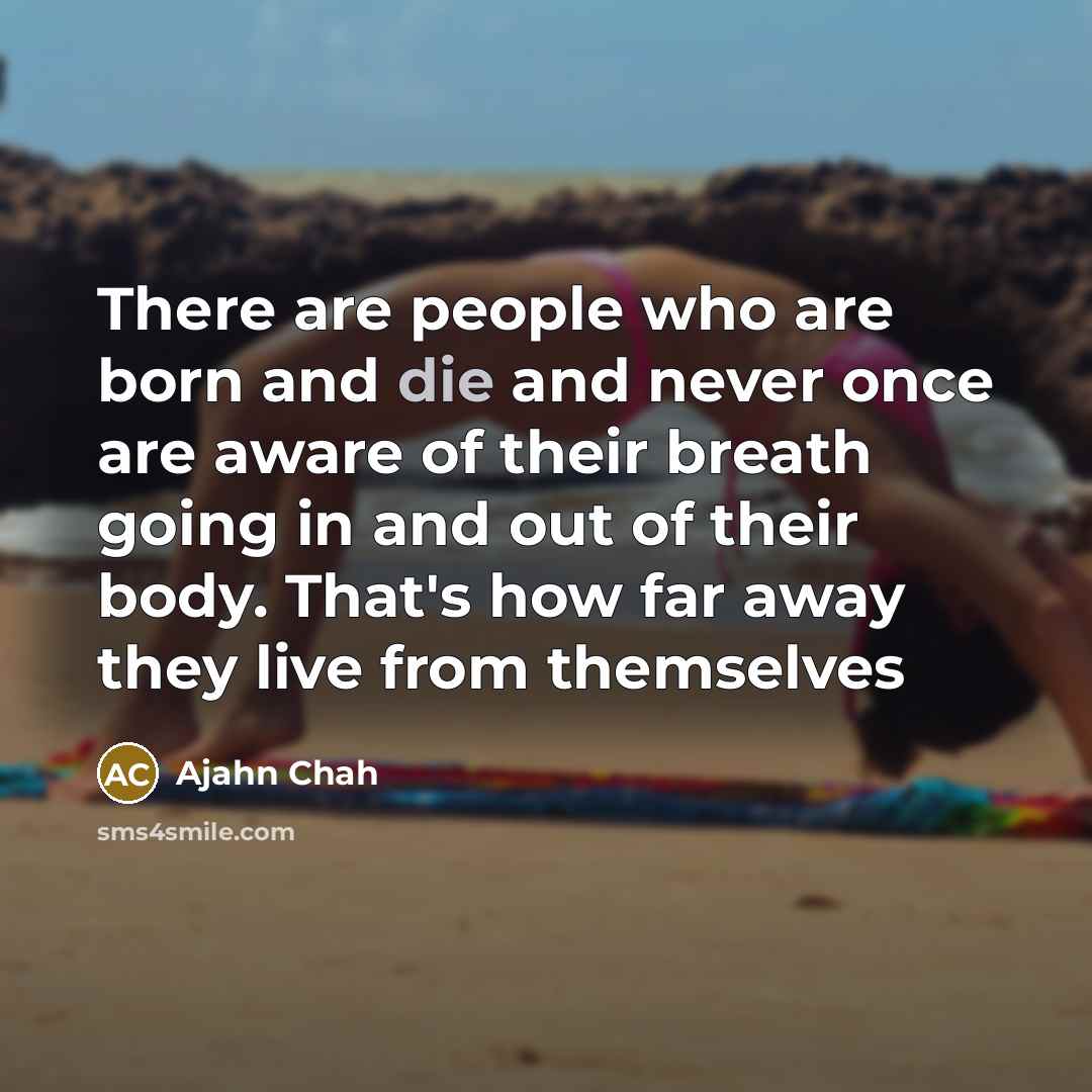 “There are people who are born and die and never…” quote by Ajahn Chah